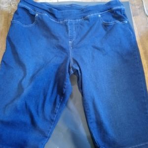 Terra & Sky. 2x (20w-22w) capris